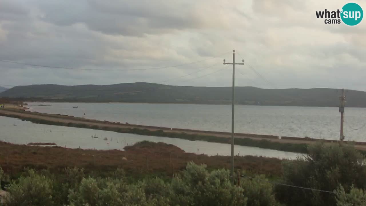 Playa Porto Botte webcam | Cerdena