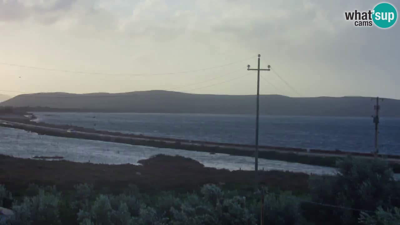 Plage Porto Botte webcam | Sardaigne