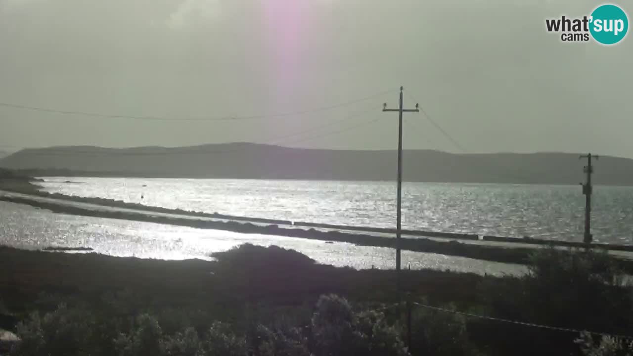 Beach Porto Botte webcam | Sardinia