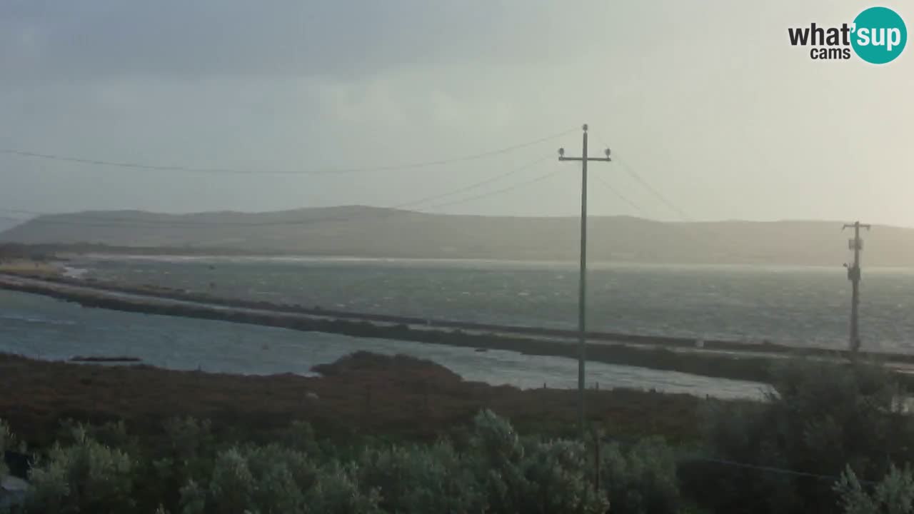 Beach Porto Botte webcam | Sardinia