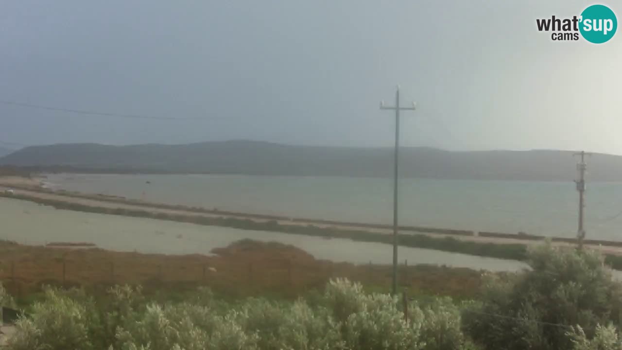 Plage Porto Botte webcam | Sardaigne