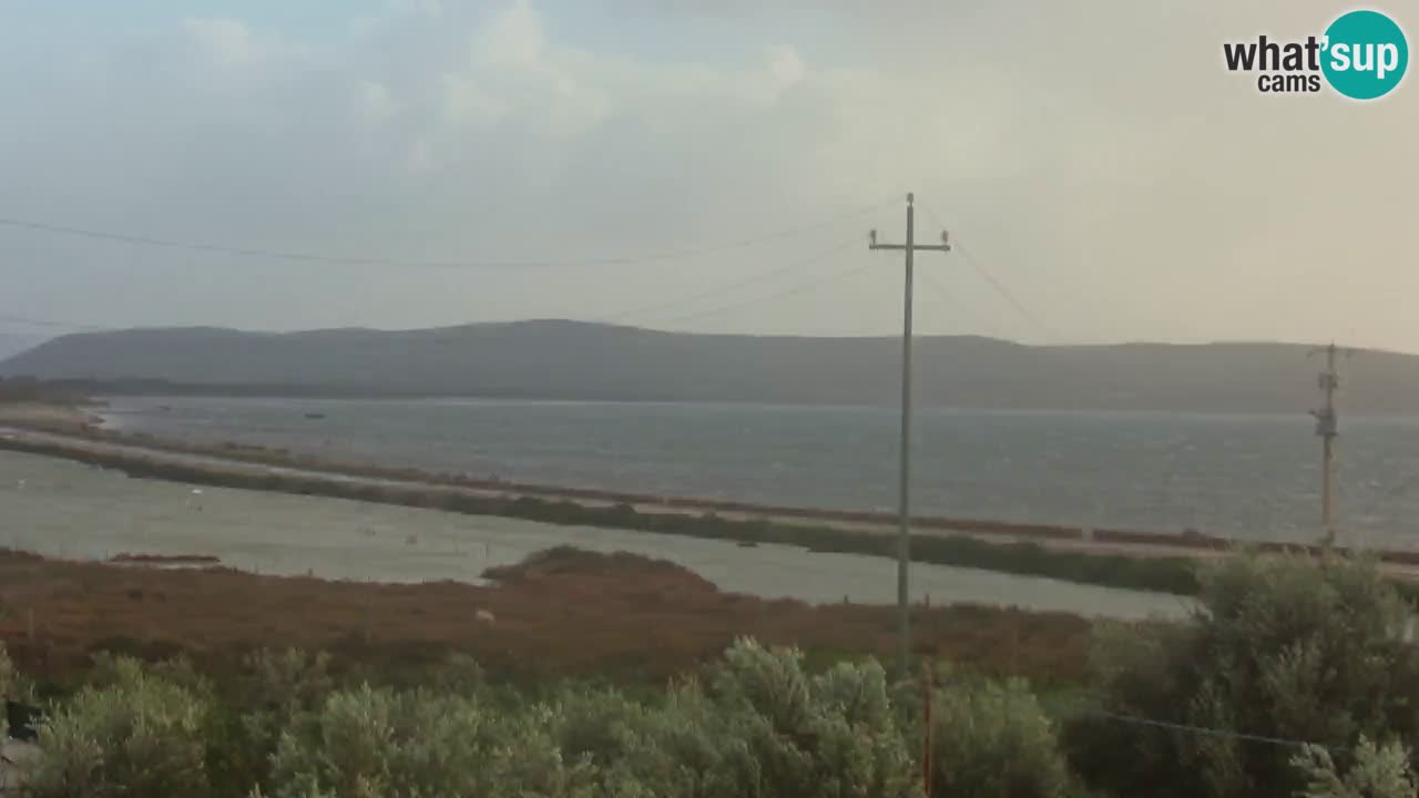 Plage Porto Botte webcam | Sardaigne