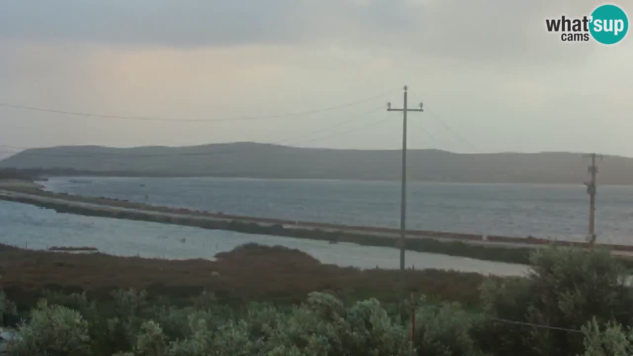 Plage Porto Botte webcam | Sardaigne