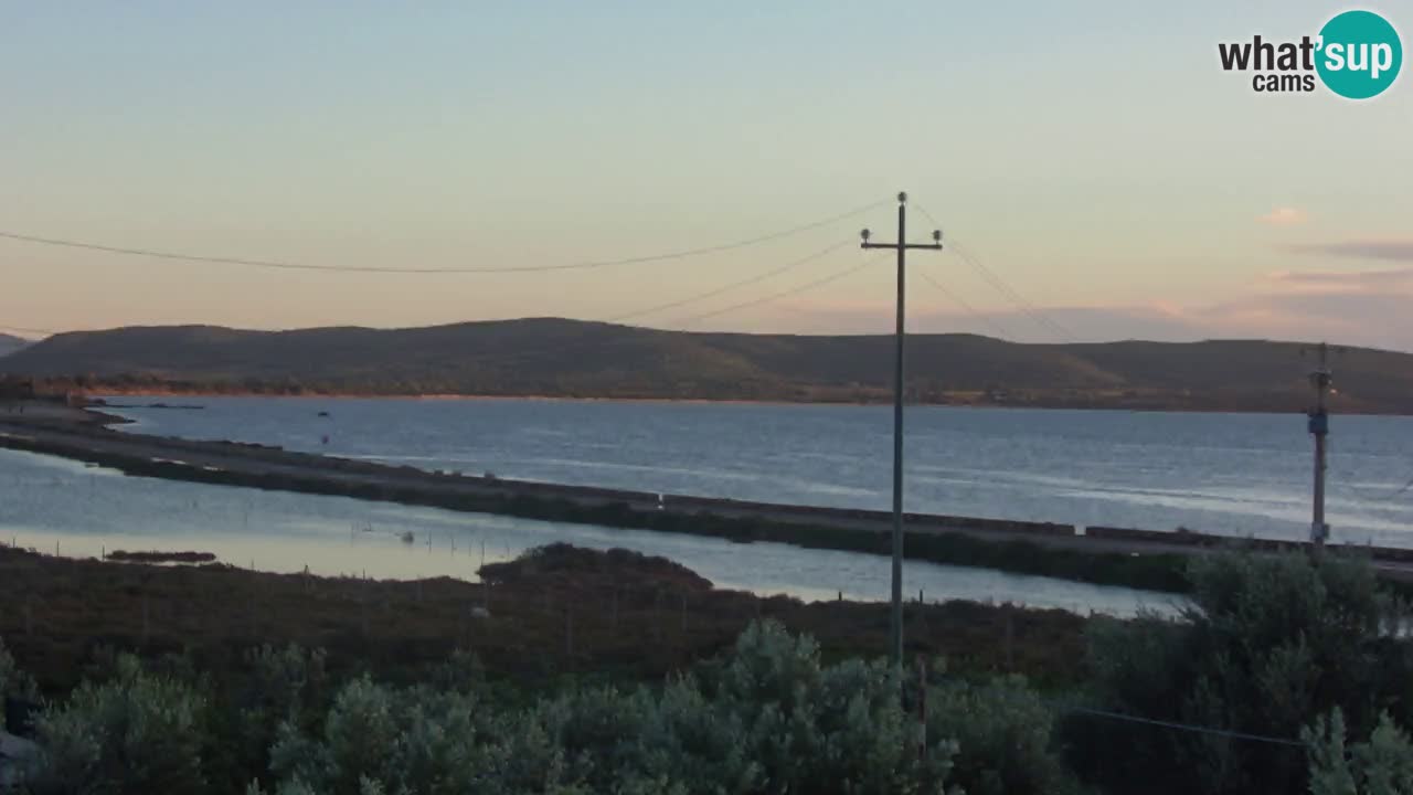 Beach Porto Botte webcam | Sardinia