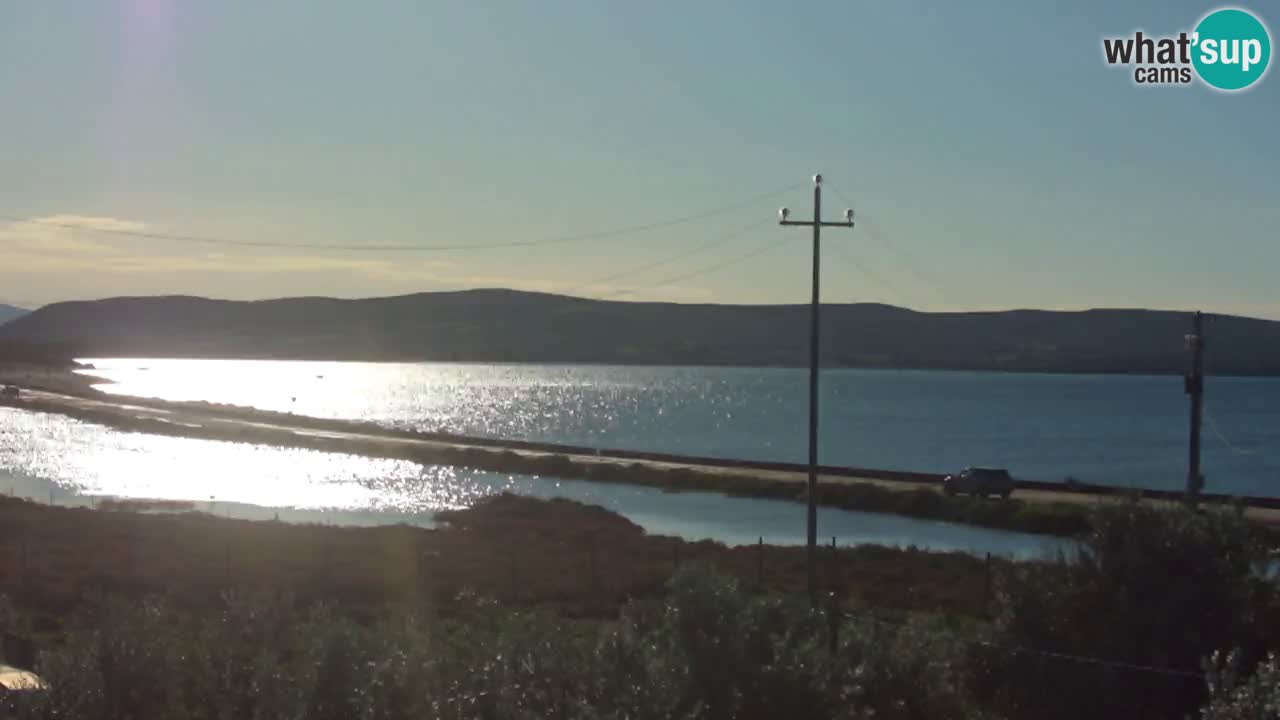 Webcam Porto Botte spiaggia | Sardegna