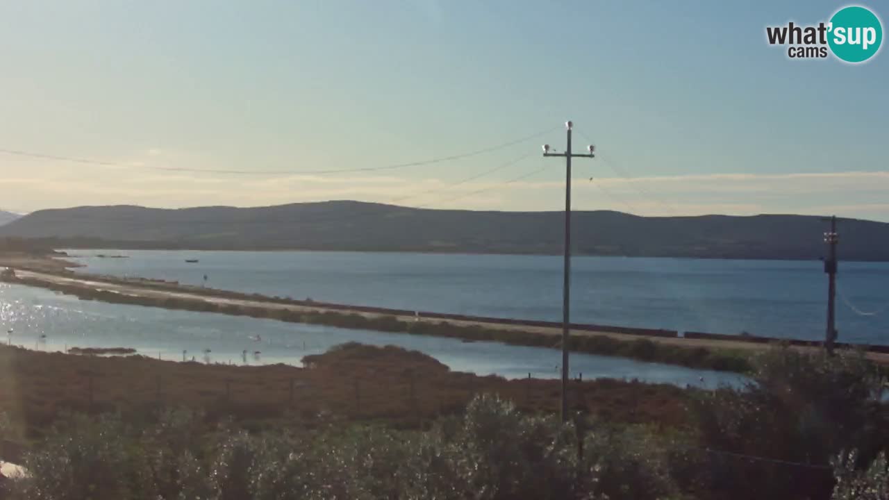 Webcam Porto Botte spiaggia | Sardegna