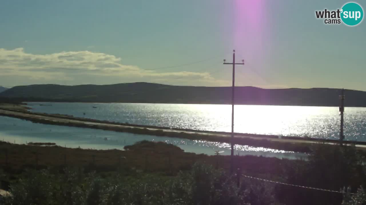 Webcam Porto Botte spiaggia | Sardegna