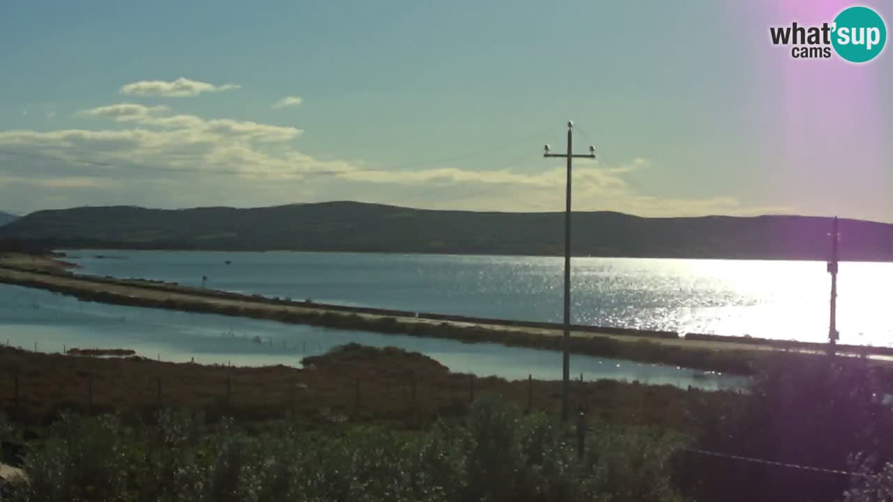 Webcam Porto Botte spiaggia | Sardegna