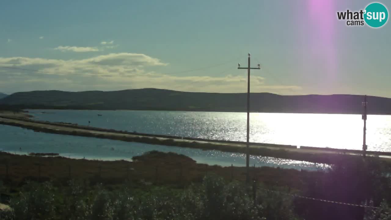 Webcam Porto Botte spiaggia | Sardegna