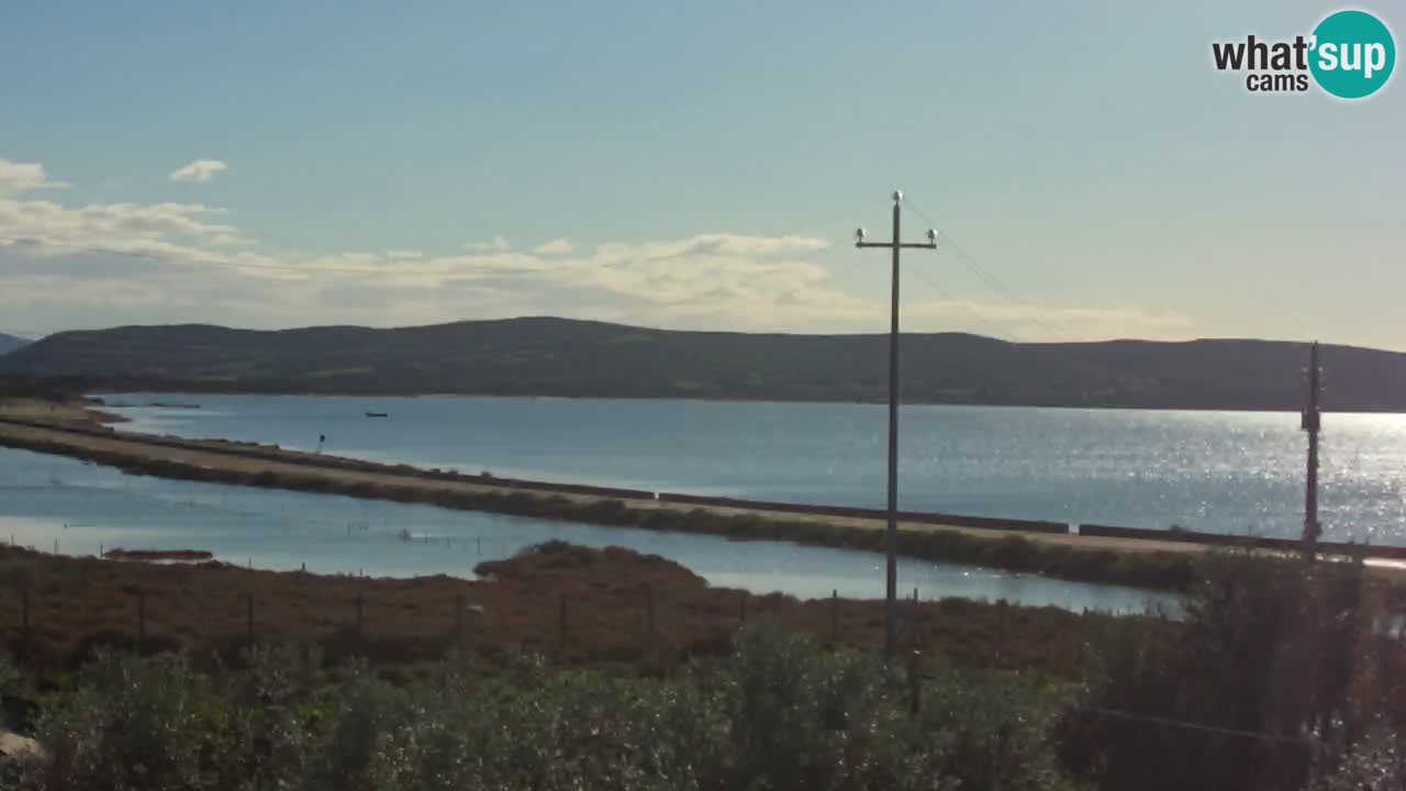 Webcam Porto Botte spiaggia | Sardegna