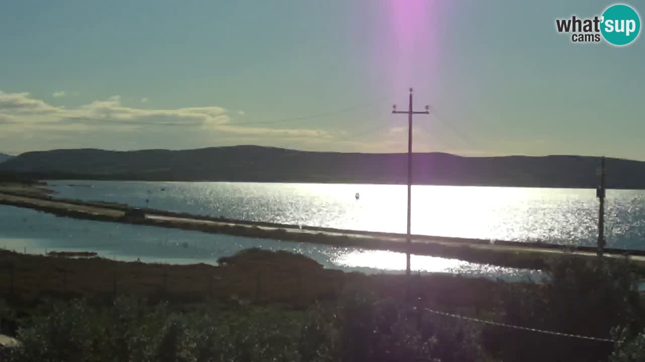 Webcam Porto Botte spiaggia | Sardegna