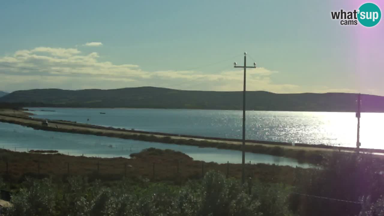 Webcam Porto Botte spiaggia | Sardegna