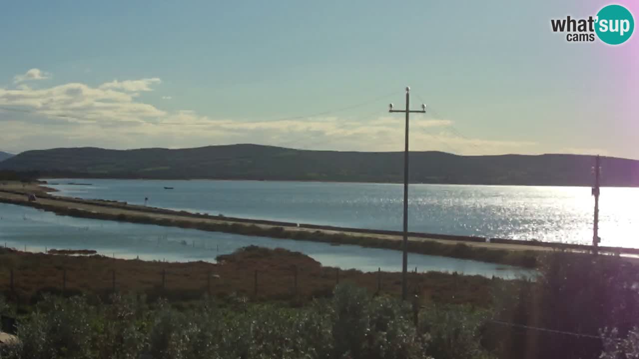 Webcam Porto Botte spiaggia | Sardegna