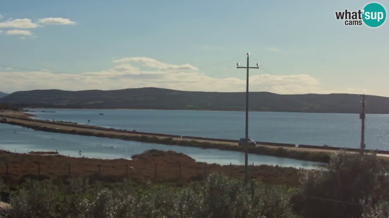 Webcam Porto Botte spiaggia | Sardegna