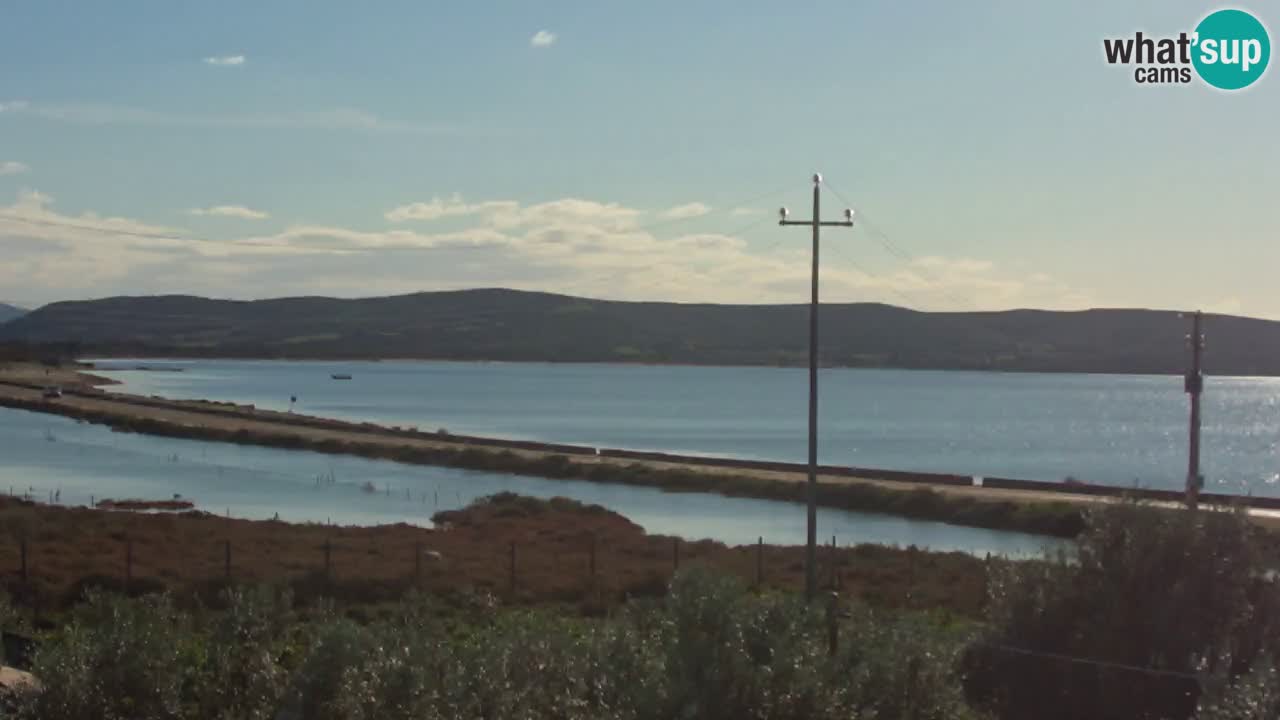 Plage Porto Botte webcam | Sardaigne