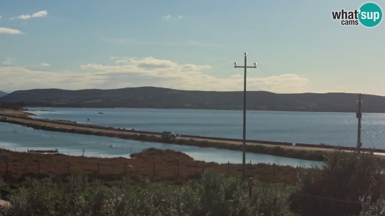 Webcam Porto Botte spiaggia | Sardegna