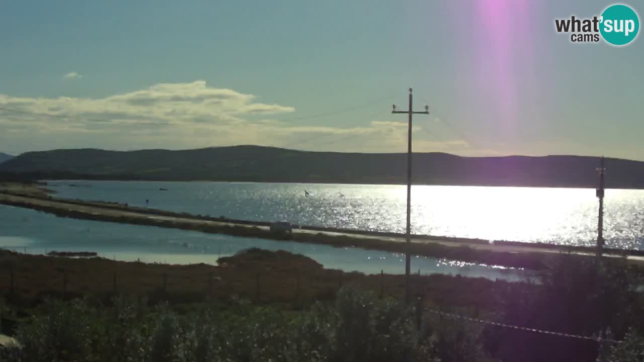 Webcam Porto Botte spiaggia | Sardegna