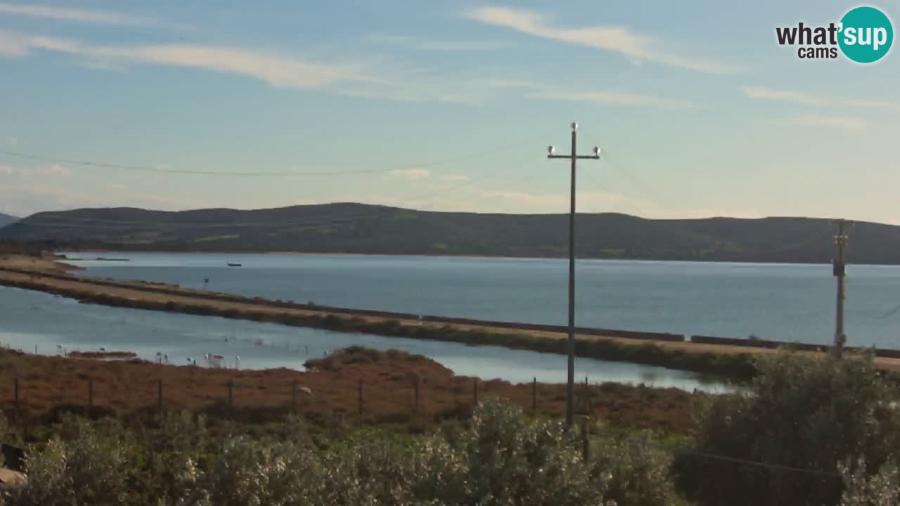 Webcam Porto Botte spiaggia | Sardegna