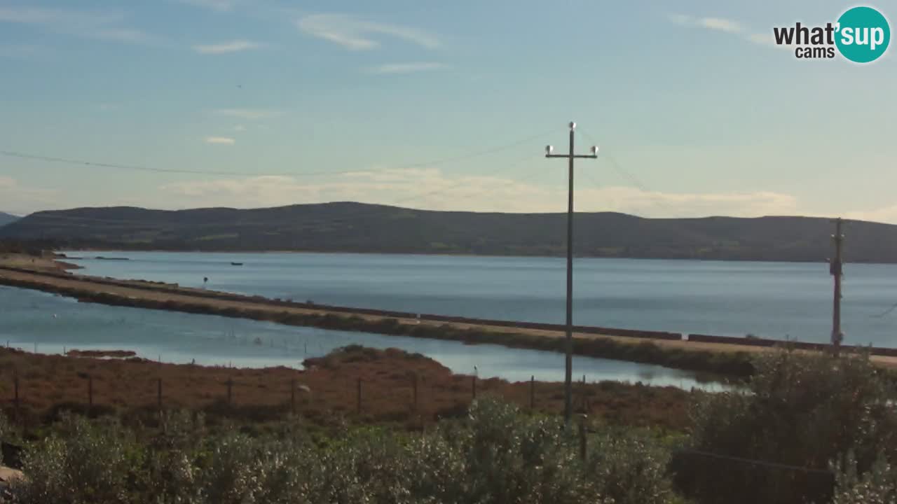 Plage Porto Botte webcam | Sardaigne