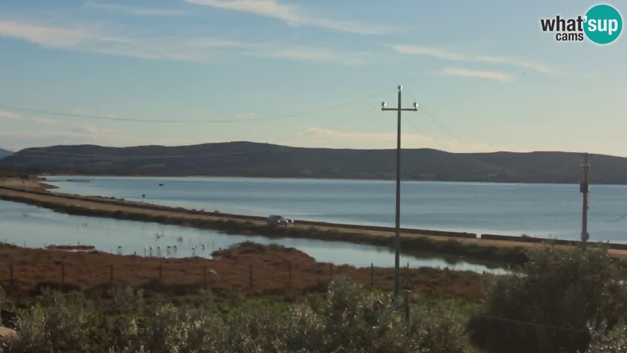 Beach Porto Botte webcam | Sardinia