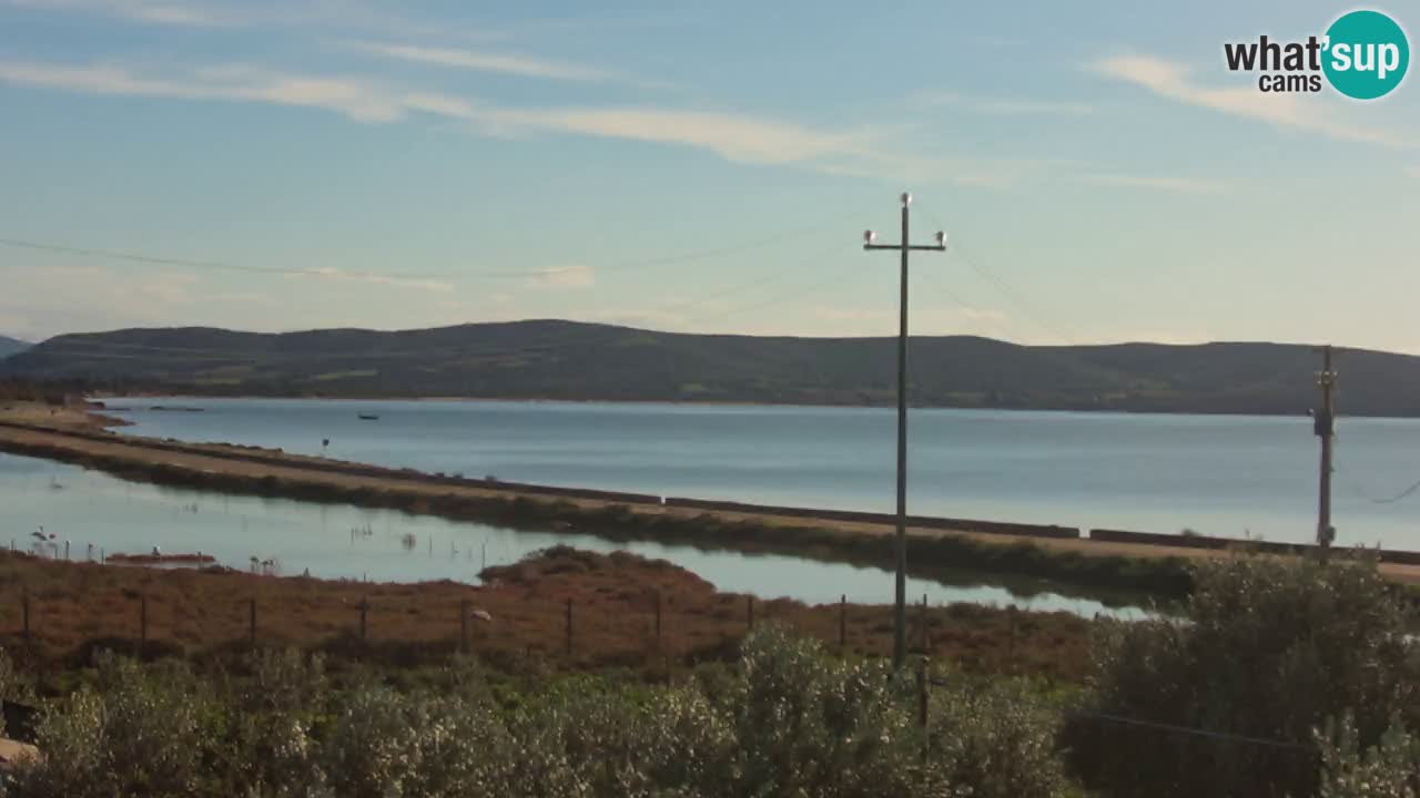 Beach Porto Botte webcam | Sardinia