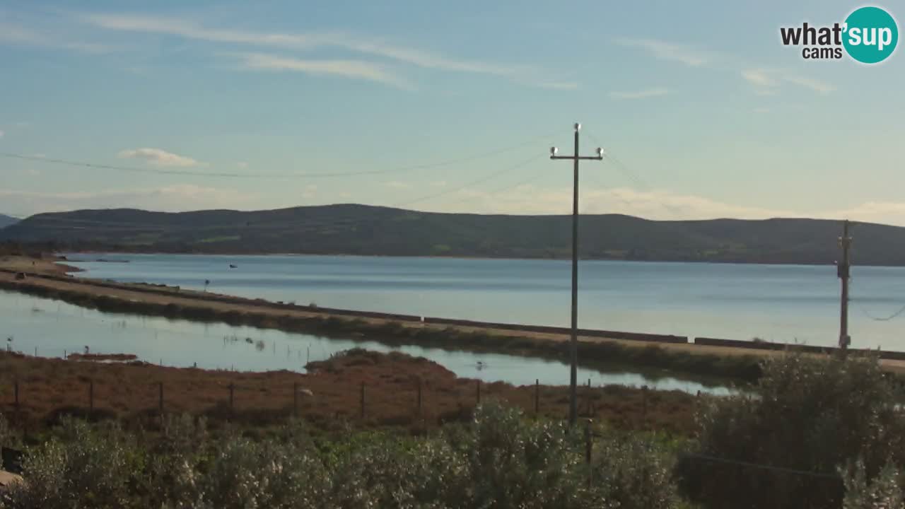 Beach Porto Botte webcam | Sardinia