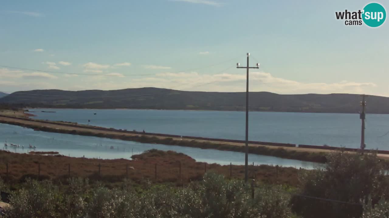 Playa Porto Botte webcam | Cerdena