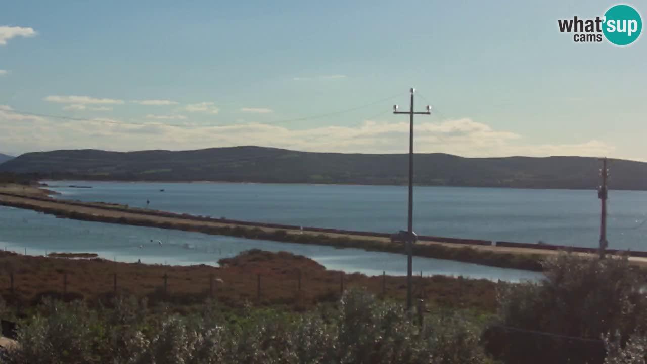 Beach Porto Botte webcam | Sardinia