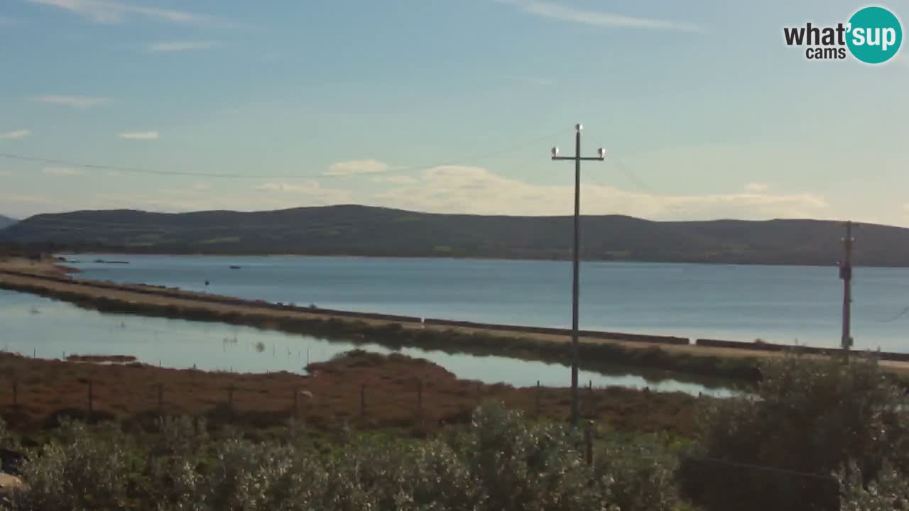 Beach Porto Botte webcam | Sardinia