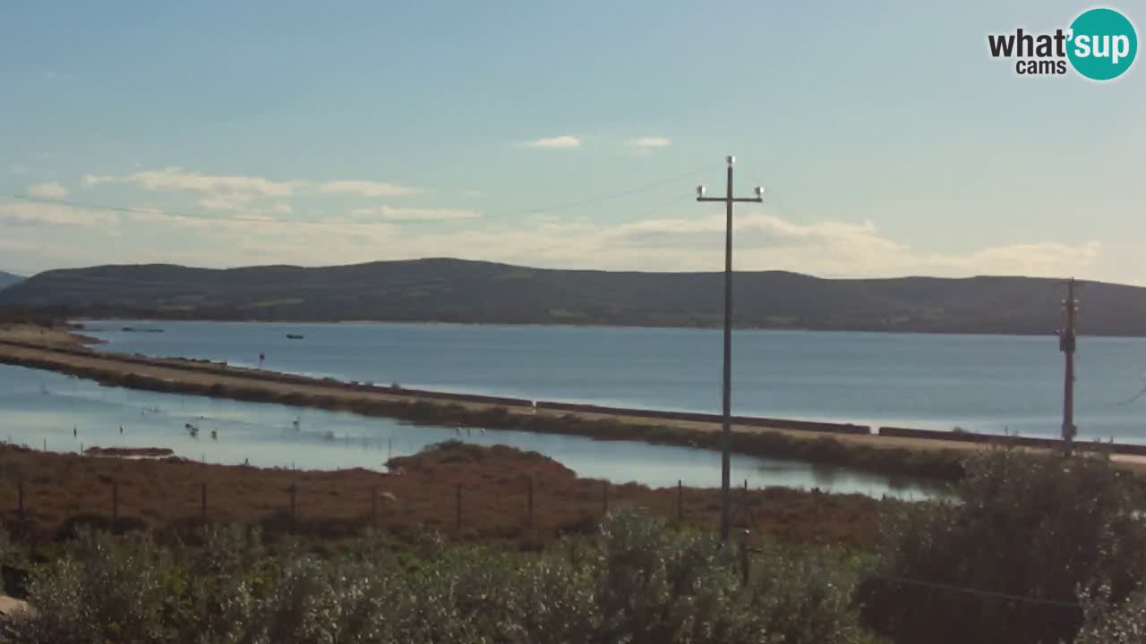 Beach Porto Botte webcam | Sardinia