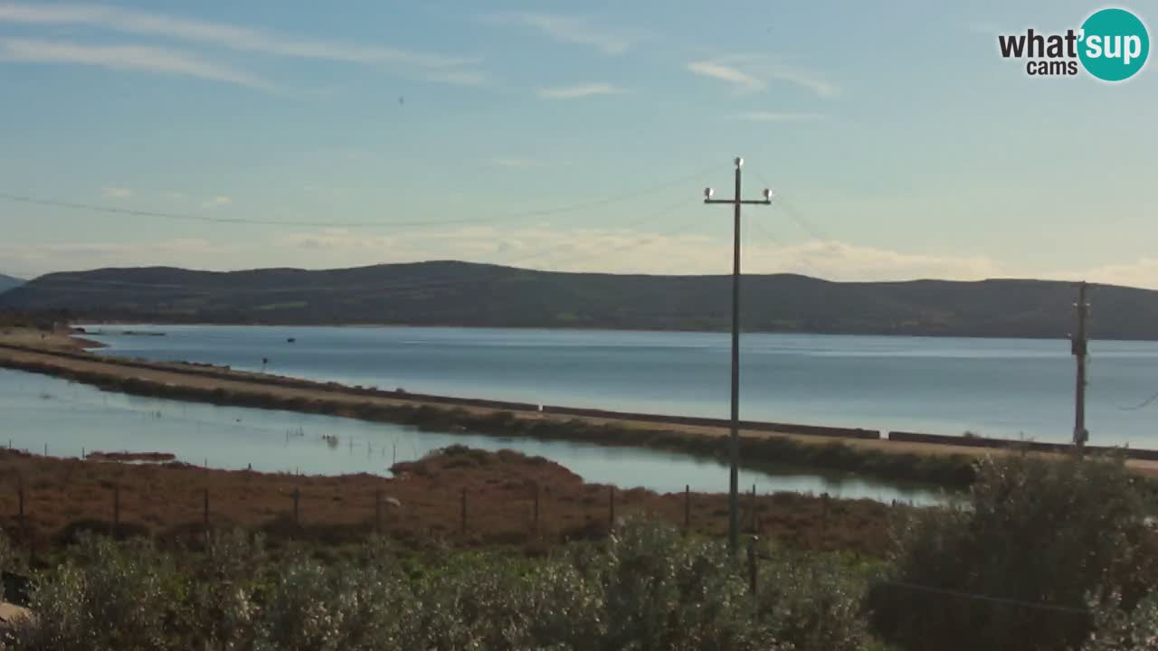 Playa Porto Botte webcam | Cerdena