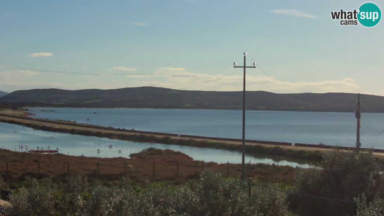 Beach Porto Botte webcam | Sardinia