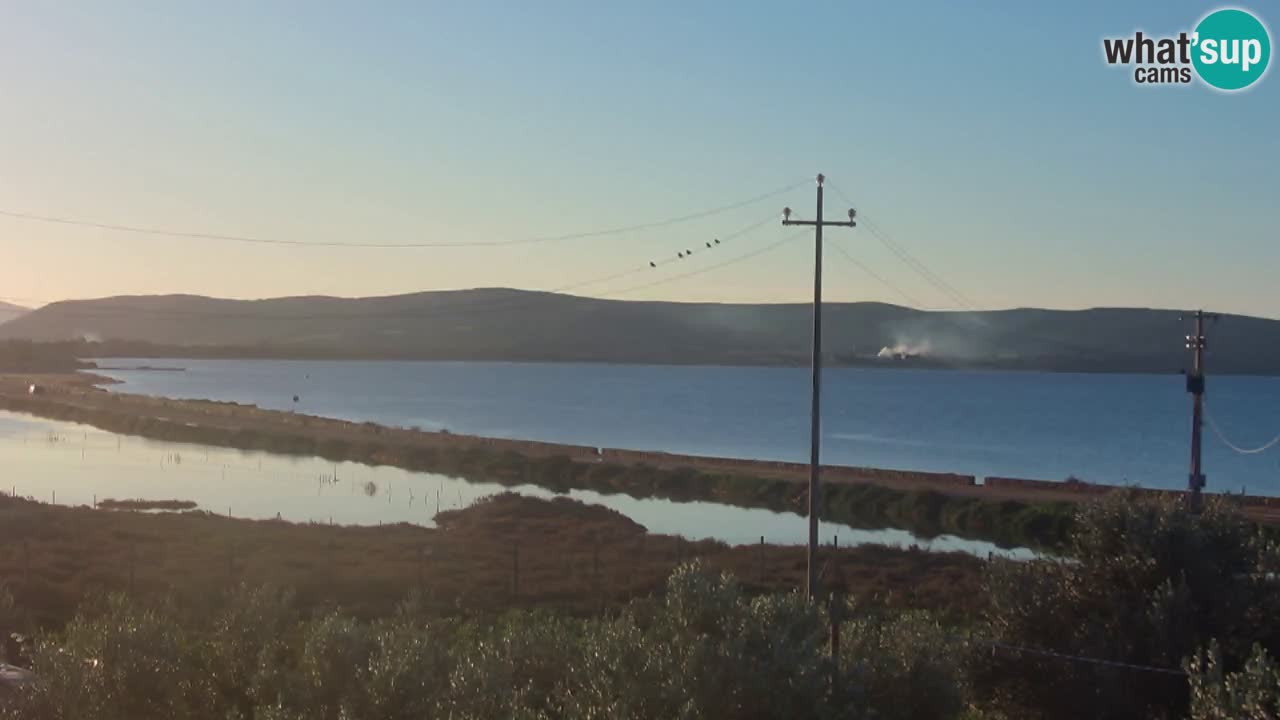 Playa Porto Botte webcam | Cerdena