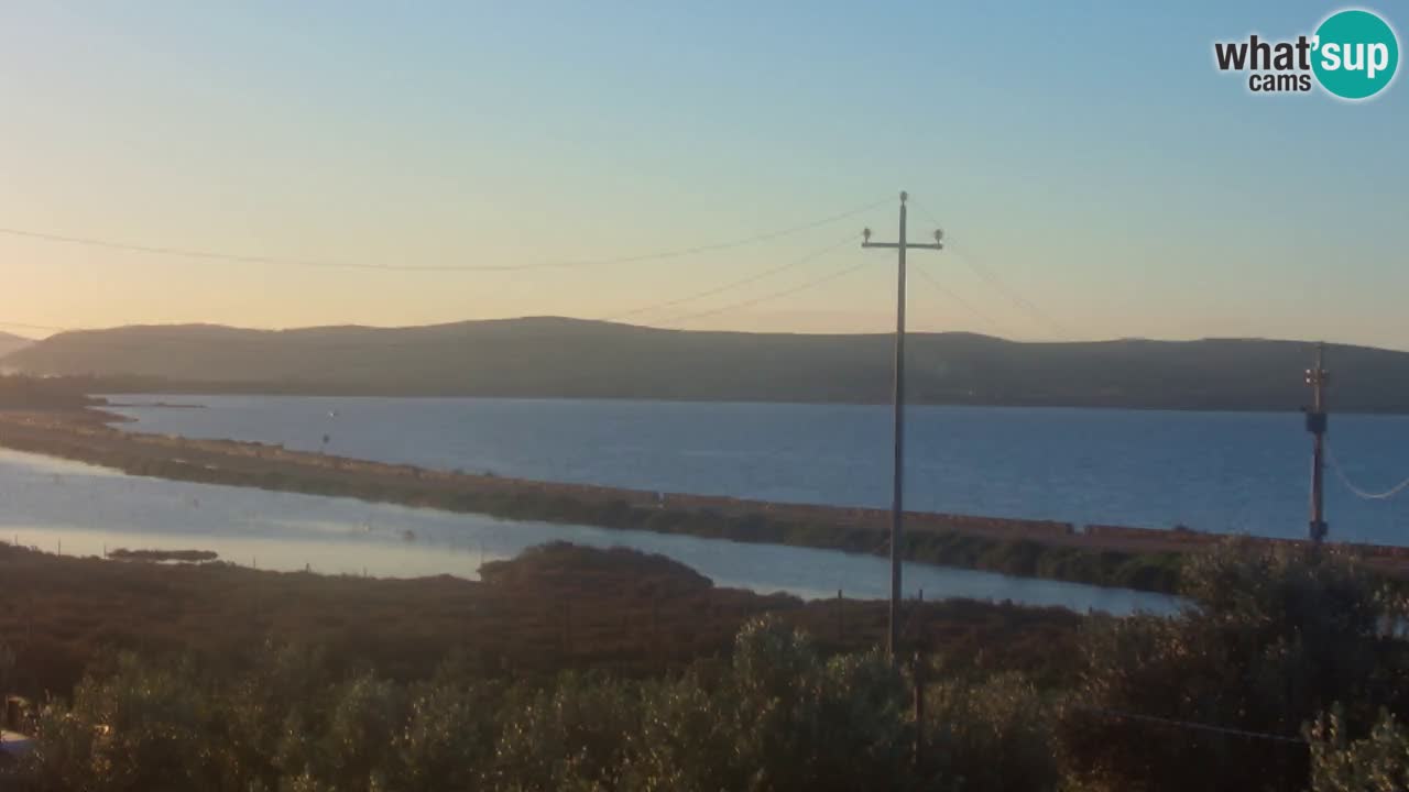 Beach Porto Botte webcam | Sardinia