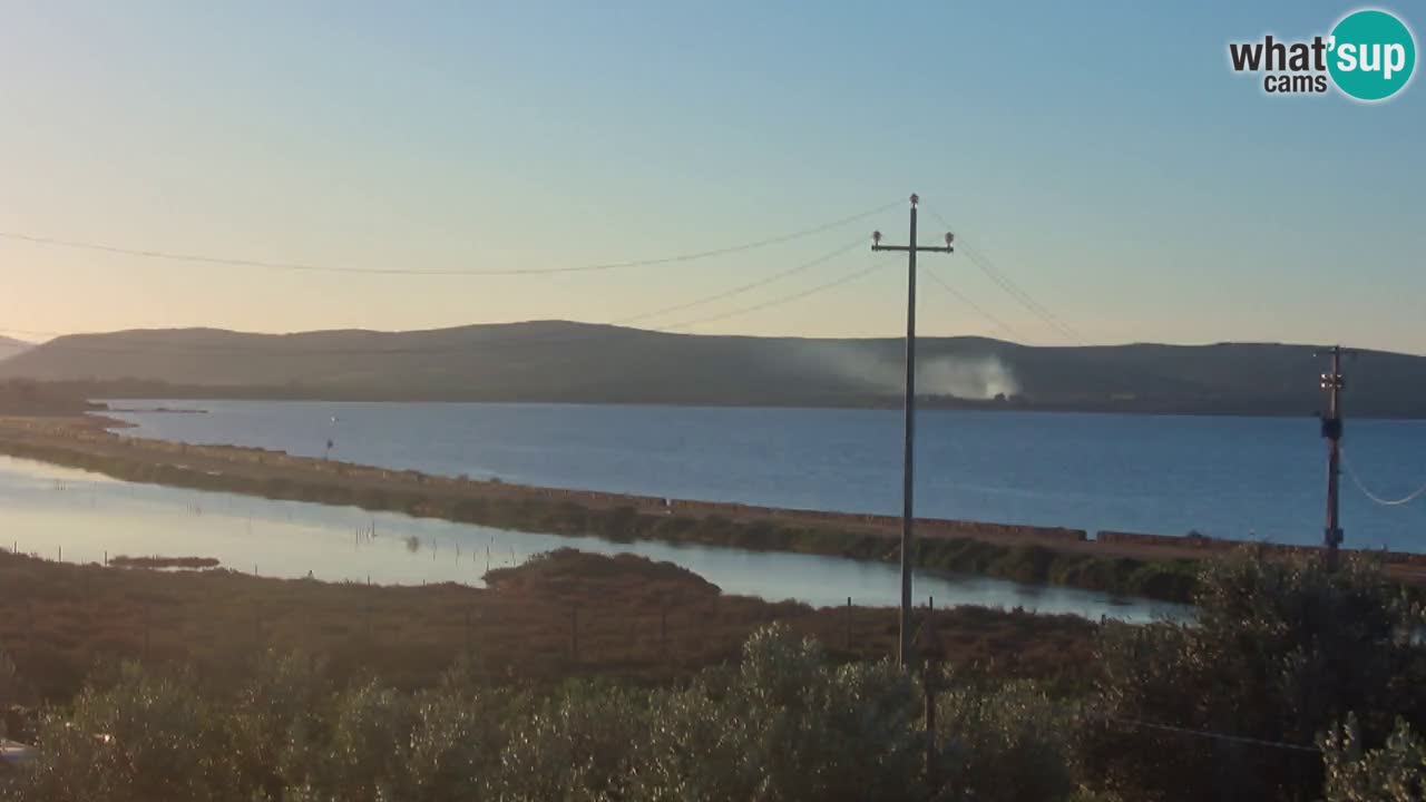 Beach Porto Botte webcam | Sardinia