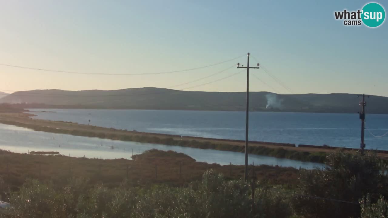 Playa Porto Botte webcam | Cerdena