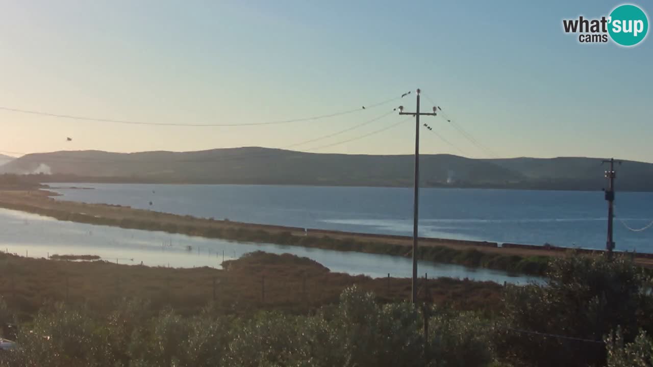 Plage Porto Botte webcam | Sardaigne