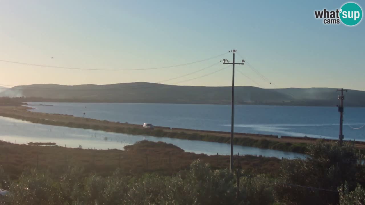 Plage Porto Botte webcam | Sardaigne