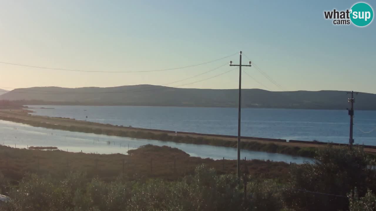 Beach Porto Botte webcam | Sardinia