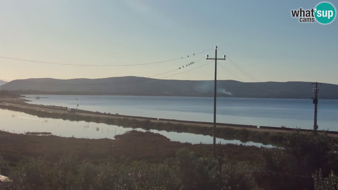 Beach Porto Botte webcam | Sardinia