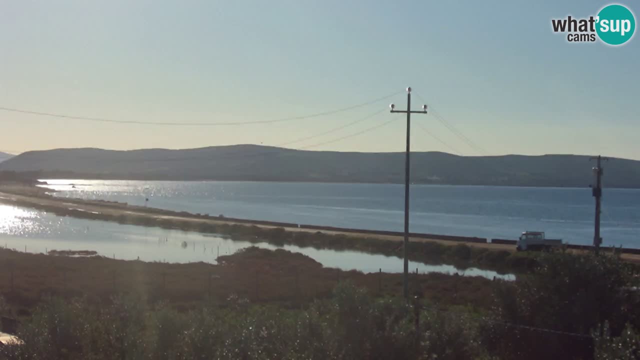 Beach Porto Botte webcam | Sardinia