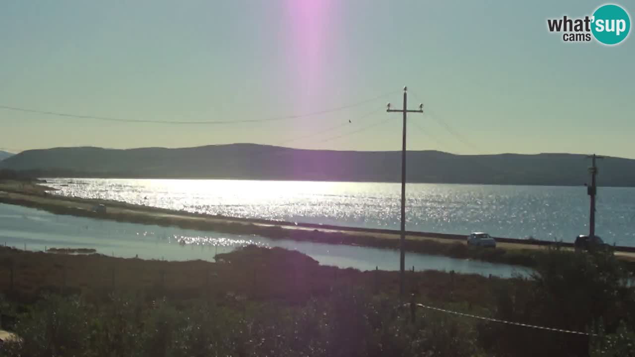 Plage Porto Botte webcam | Sardaigne