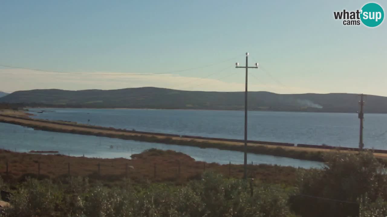 Beach Porto Botte webcam | Sardinia