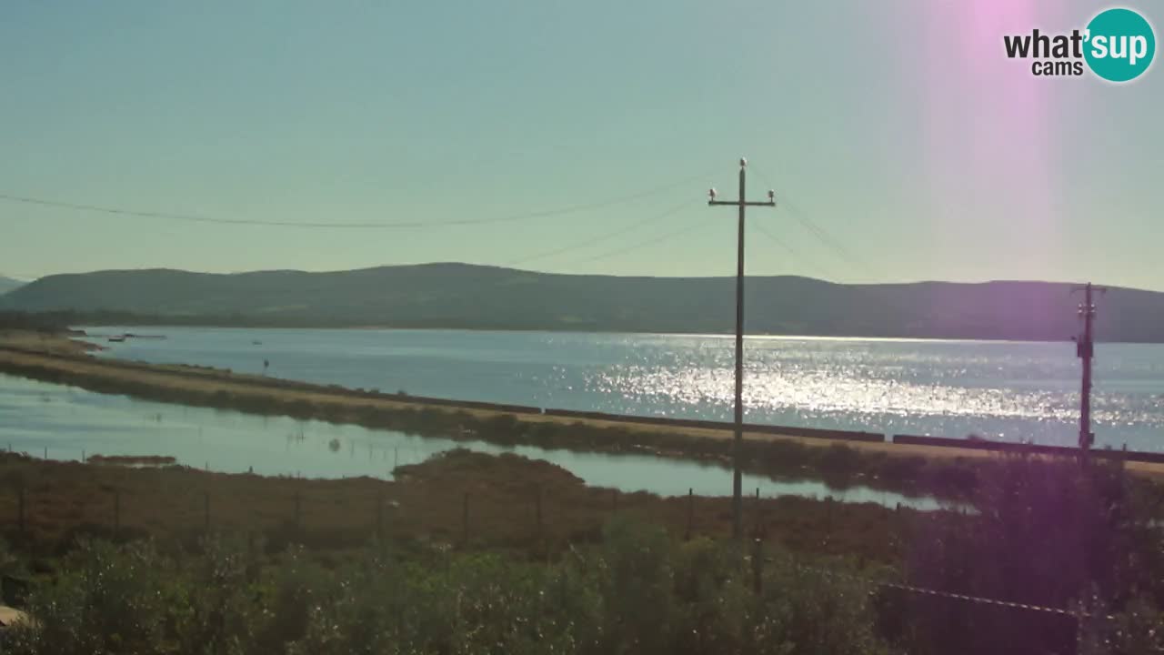 Beach Porto Botte webcam | Sardinia