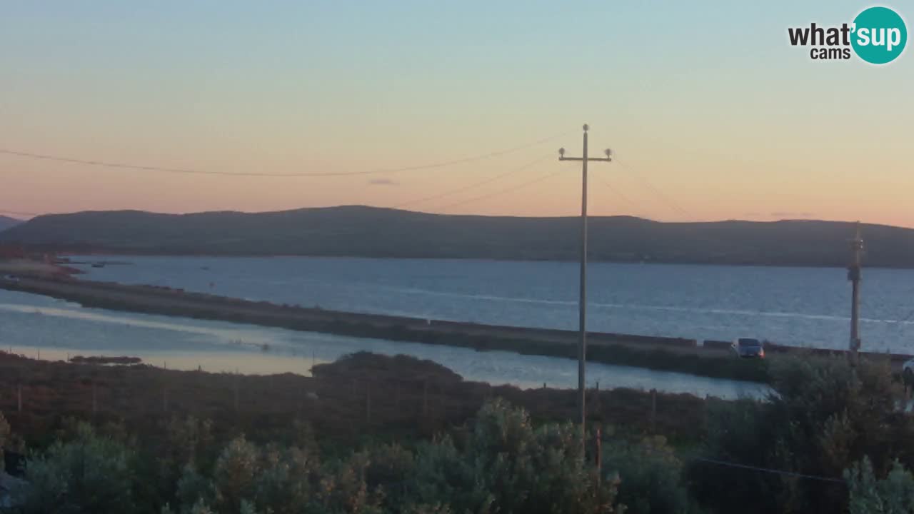 Plage Porto Botte webcam | Sardaigne