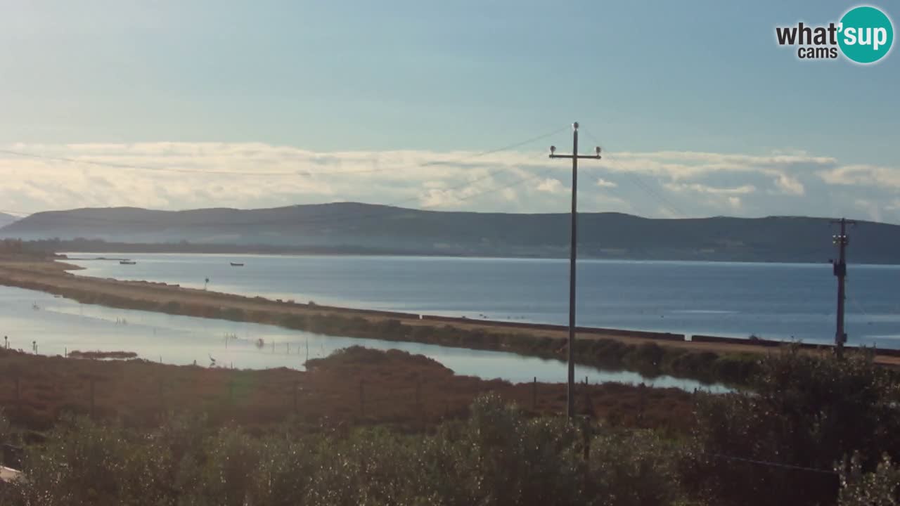 Beach Porto Botte webcam | Sardinia