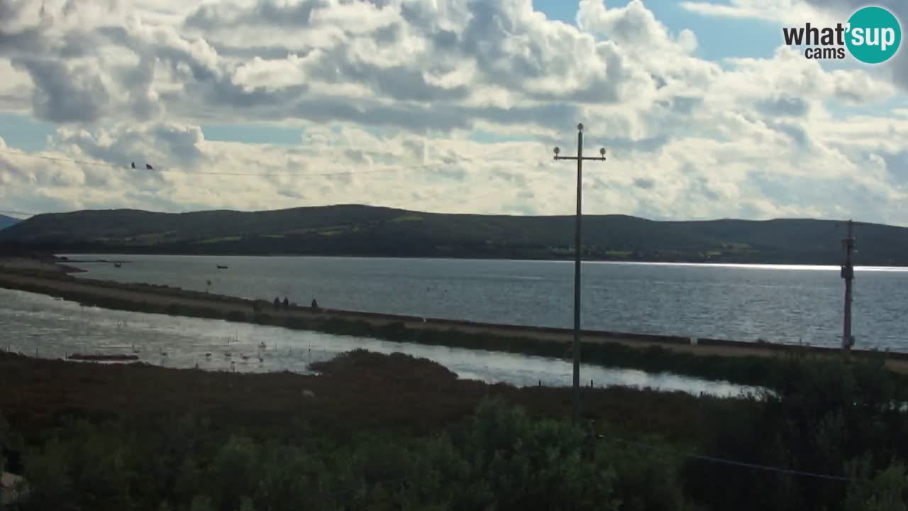 Playa Porto Botte webcam | Cerdena