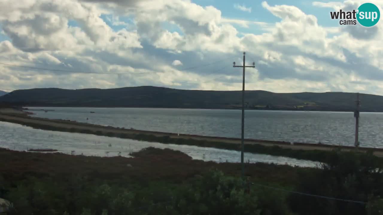 Plage Porto Botte webcam | Sardaigne