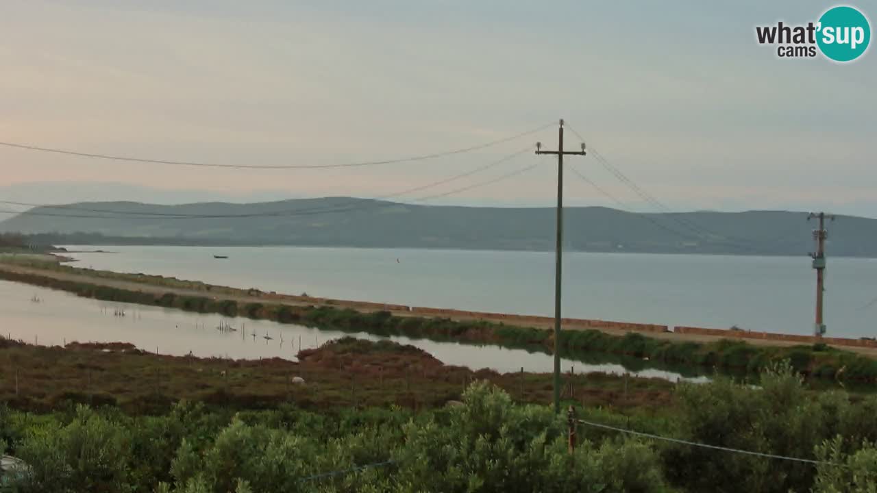 Beach Porto Botte webcam | Sardinia