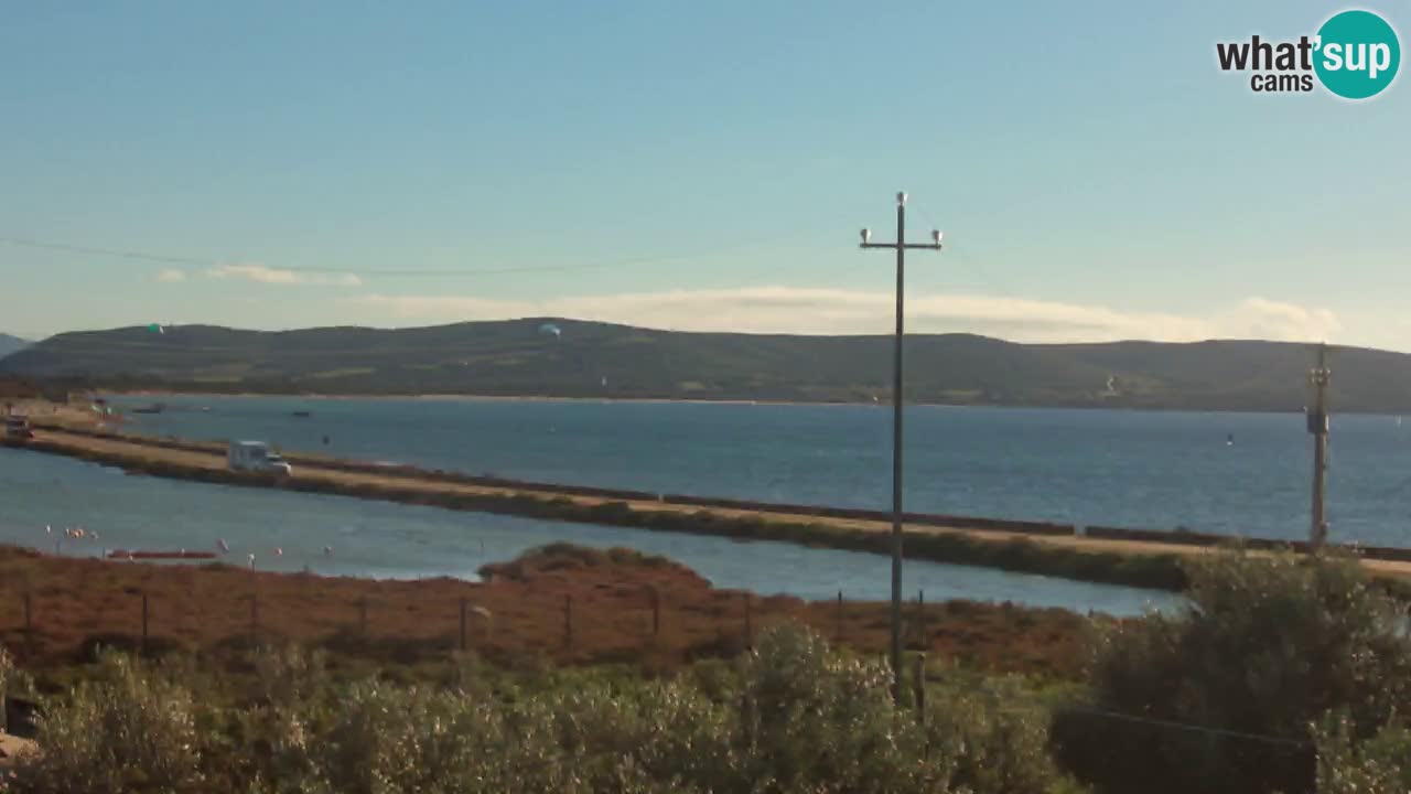 Plage Porto Botte webcam | Sardaigne